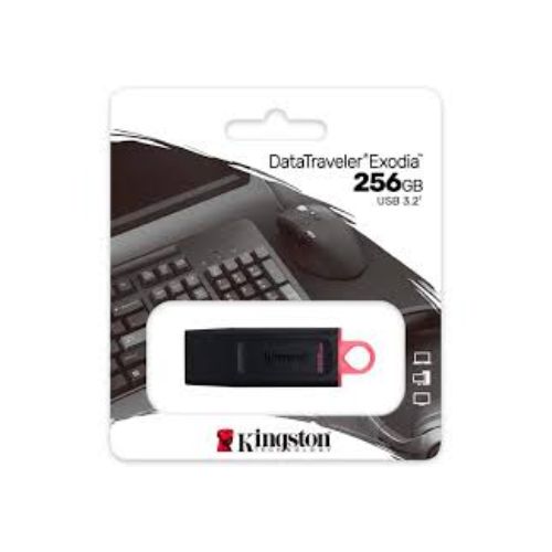 Memoria USB 256GB Kingston
